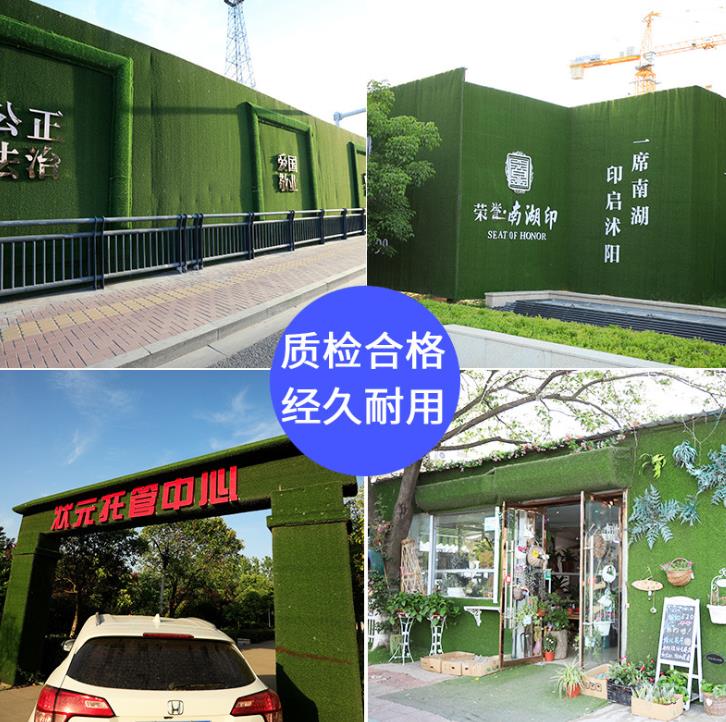 草坪网